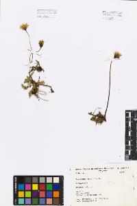 SW_BNB_s3080-00644_IMG-0000000001