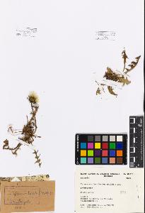 SW_BNB_s3080-00660_IMG-0000000001