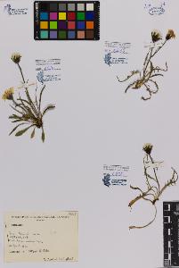 SW_BNB_s3080-00673_IMG-0000000001