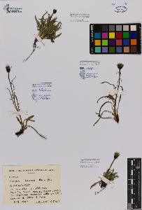 SW_BNB_s3080-00677_IMG-0000000001