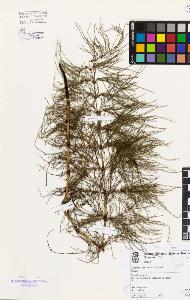 SW_BNB_s3080-00696_IMG-0000000001