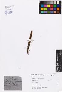 SW_BNB_s3080-00698_IMG-0000000001
