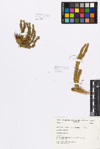 SW_BNB_s3080-00702_IMG-0000000001