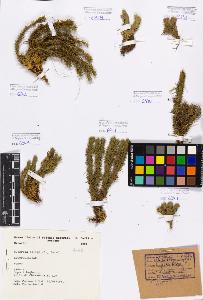 SW_BNB_s3080-00711_IMG-0000000001