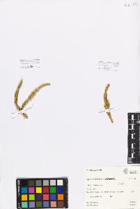 SW_BNB_s3080-00715_IMG-0000000001