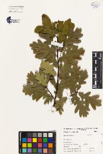SW_BNB_s3080-00719_IMG-0000000001