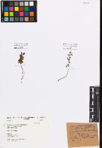 SW_BNB_s3080-00754_IMG-0000000001