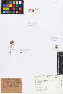 SW_BNB_s3080-00770_IMG-0000000001