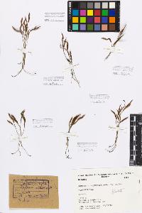 SW_BNB_s3080-00774_IMG-0000000001