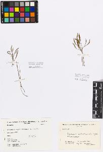SW_BNB_s3080-00785_IMG-0000000001
