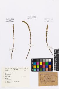 SW_BNB_s3080-00806_IMG-0000000001