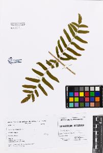 SW_BNB_s3080-00815_IMG-0000000001