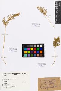 SW_BNB_s3080-00826_IMG-0000000001