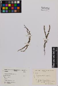 SW_BNB_s3080-00837_IMG-0000000001
