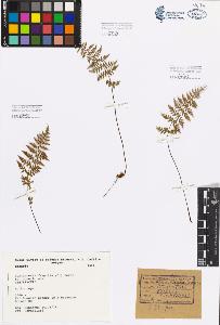 SW_BNB_s3080-00856_IMG-0000000001