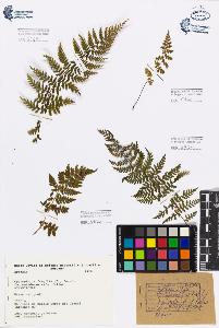 SW_BNB_s3080-00873_IMG-0000000001