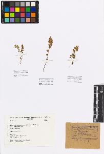 SW_BNB_s3080-00880_IMG-0000000001
