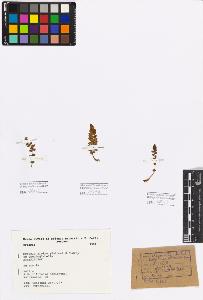 SW_BNB_s3080-00882_IMG-0000000001