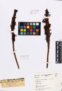 SW_BNB_s3080-00899_IMG-0000000001