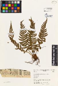 SW_BNB_s3080-00910_IMG-0000000001