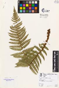 SW_BNB_s3080-00913_IMG-0000000001