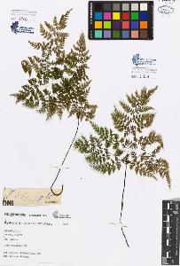 SW_BNB_s3080-00917_IMG-0000000001