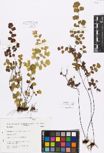 SW_BNB_s3080-00919_IMG-0000000001