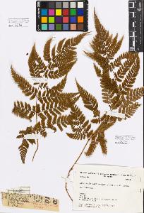 SW_BNB_s3080-00923_IMG-0000000001