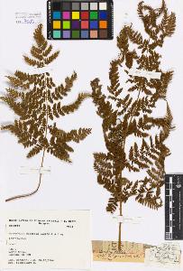 SW_BNB_s3080-00934_IMG-0000000001