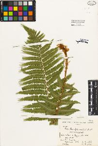 SW_BNB_s3080-00937_IMG-0000000001