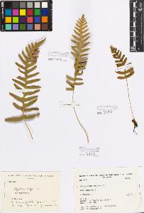 SW_BNB_s3080-00967_IMG-0000000001