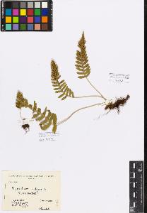 SW_BNB_s3080-00968_IMG-0000000001