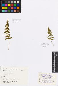 SW_BNB_s3080-00969_IMG-0000000001