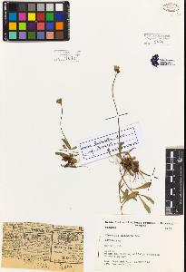 SW_BNB_s3080-00979_IMG-0000000001