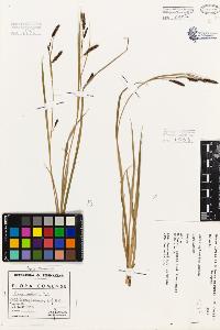 SW_BNB_s3080-01006_IMG-0000000001