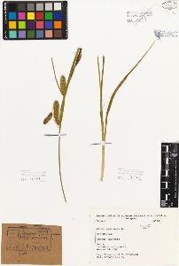 SW_BNB_s3080-01029_IMG-0000000001