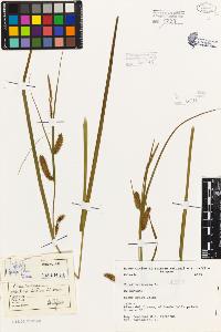 SW_BNB_s3080-01032_IMG-0000000001