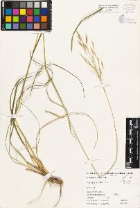 SW_BNB_s3080-01035_IMG-0000000001