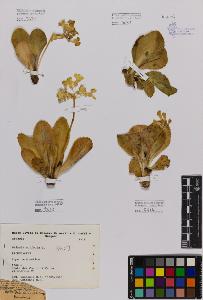 SW_BNB_s3080-01037_IMG-0000000001