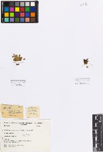 SW_BNB_s3080-01044_IMG-0000000001