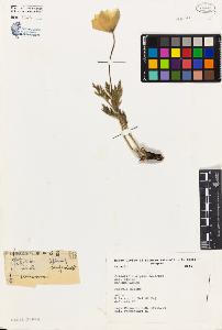 SW_BNB_s3080-01045_IMG-0000000001