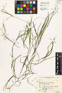 SW_BNB_s3080-01049_IMG-0000000001
