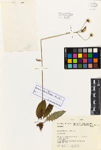 SW_BNB_s3080-01050_IMG-0000000001