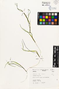 SW_BNB_s3080-01057_IMG-0000000001