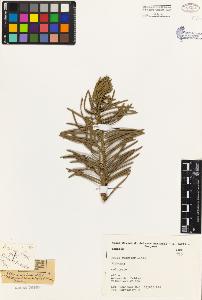 SW_BNB_s3080-01060_IMG-0000000001