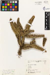 SW_BNB_s3080-01061_IMG-0000000001