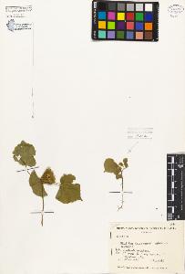 SW_BNB_s3080-01062_IMG-0000000001