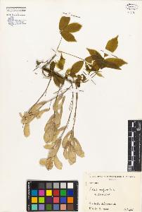SW_BNB_s3080-01072_IMG-0000000001