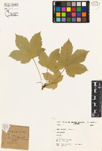 SW_BNB_s3080-01076_IMG-0000000001