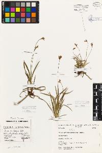 SW_BNB_s3080-01083_IMG-0000000001